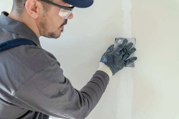 Best Mold Odor Removal Services  in Ashville, AL