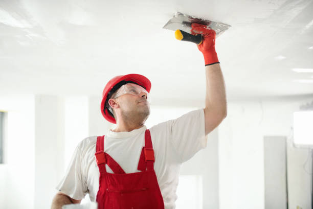  Ashville, AL Mold Removal Pros