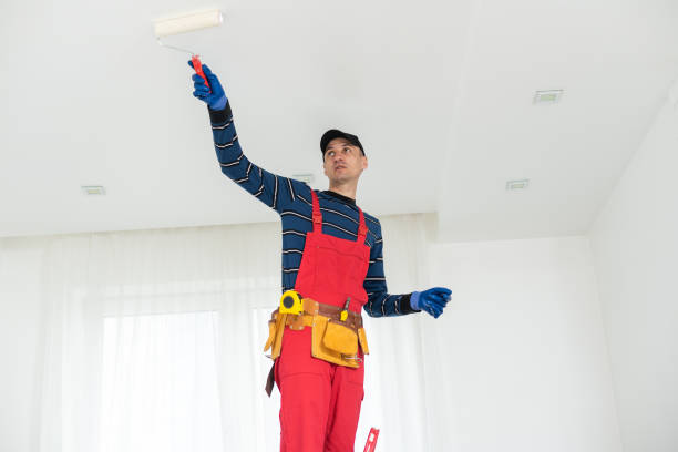 Professional Mold Removal in Ashville, AL