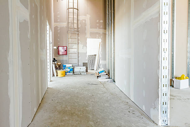 Best Mold Documentation for Insurance Claims  in Ashville, AL
