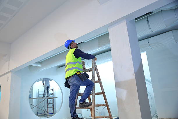 Best Post-Construction Mold Inspection  in Ashville, AL