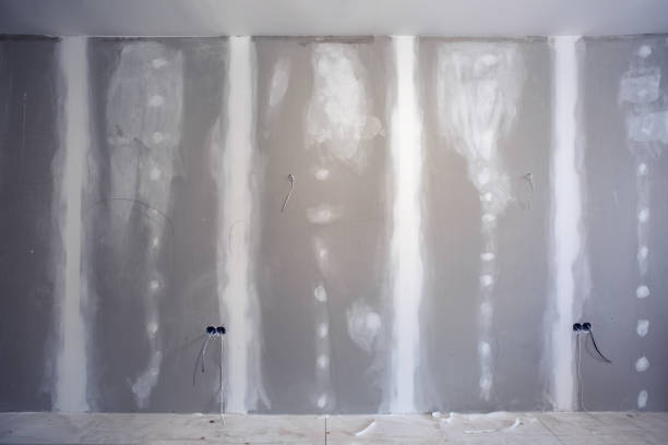 Best Industrial Mold Remediation  in Ashville, AL